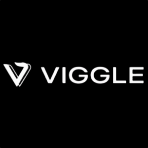 Viggle AI (Pro)